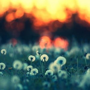 Meet your Posher, Zoe